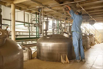 Tert-Butyl carbazate